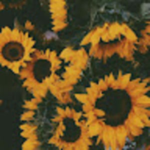 Meet your Posher, Eva